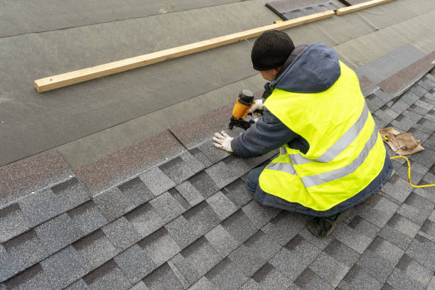 Roof Gutter Cleaning in Austin, AR